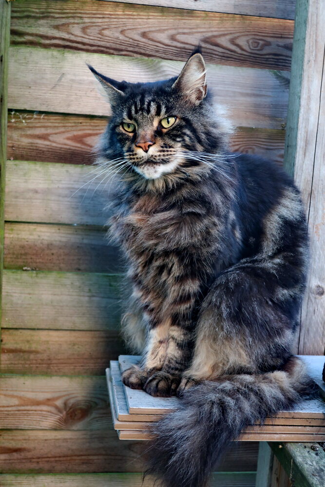Photograph by Regina Belomytseva-Dahan