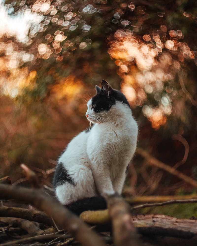 Photograph by Selman Senturk