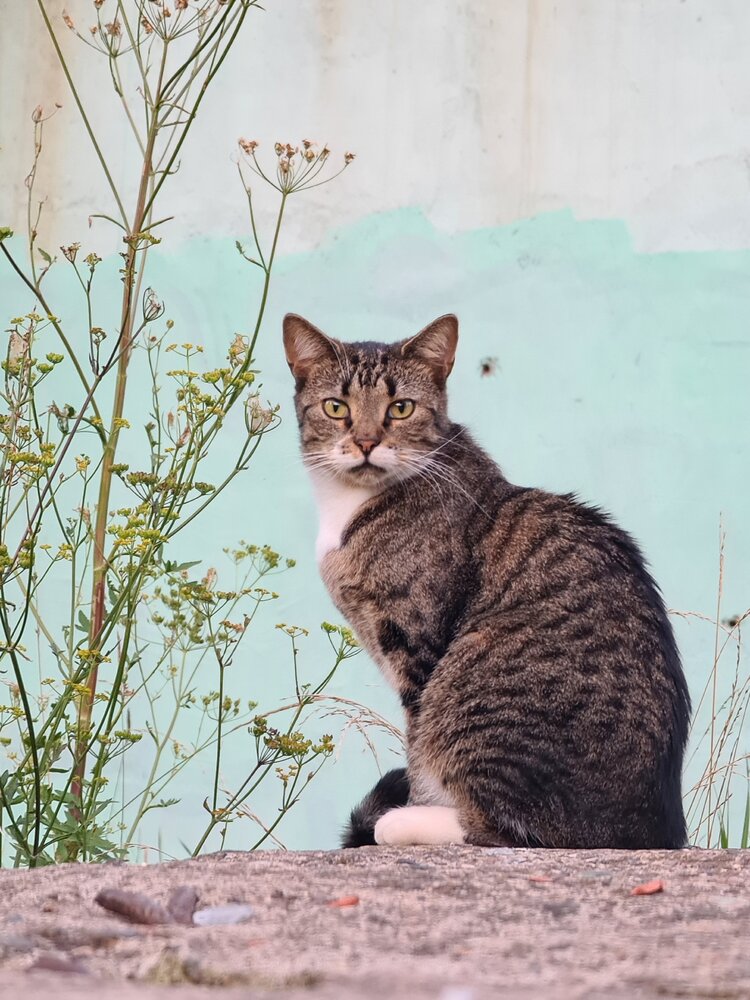 Photograph by Алексеева Марина