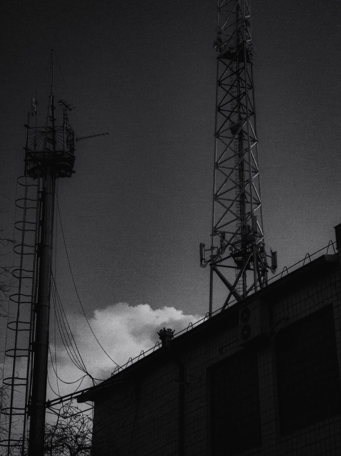 Photo #14036157