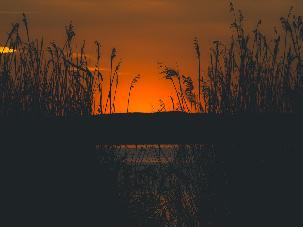 Photograph by Gergely Janovszky