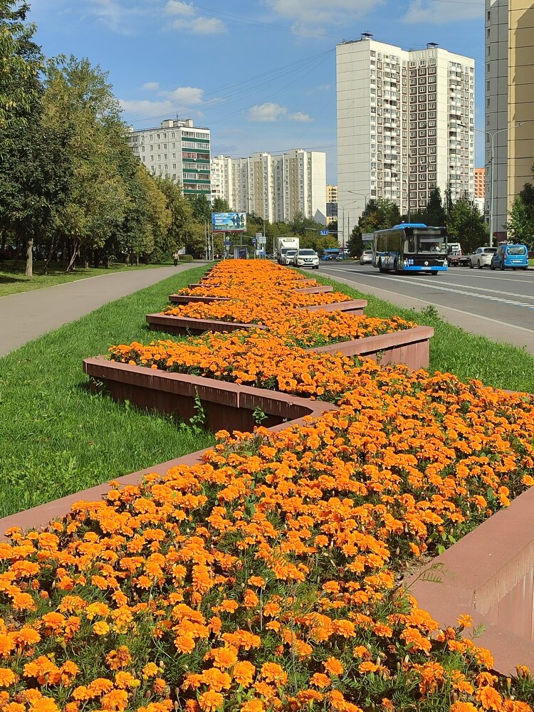 Фотография автора Нина Фролова