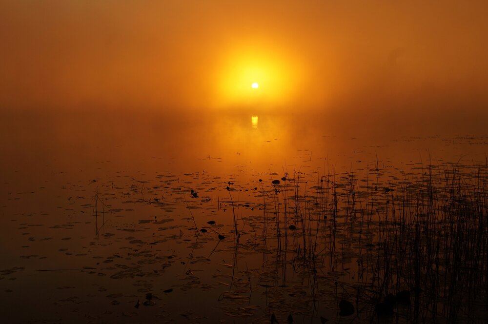 Photograph by Алексей Громов
