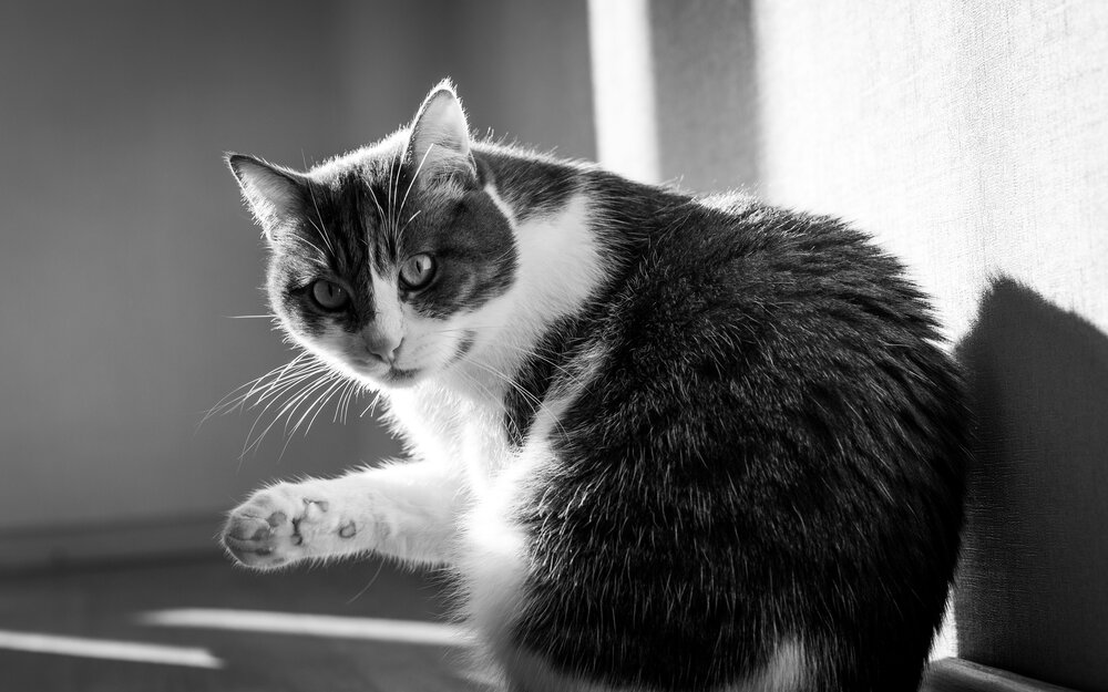 Photograph by Виталий Панченко