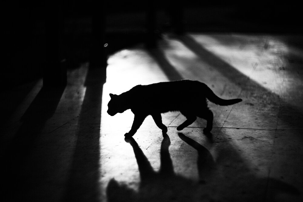 Photograph by Selman Senturk