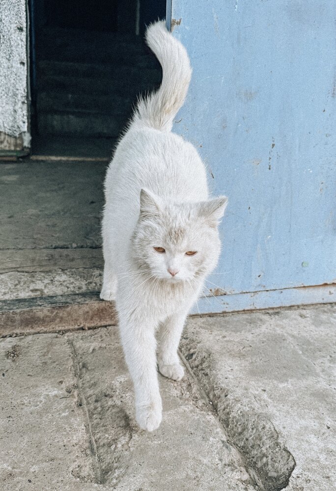 Photograph by Антонина Руденко