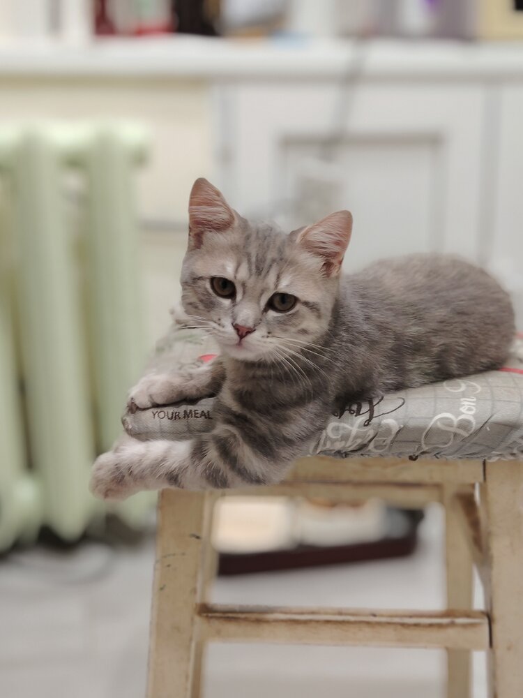 Photo #14036297