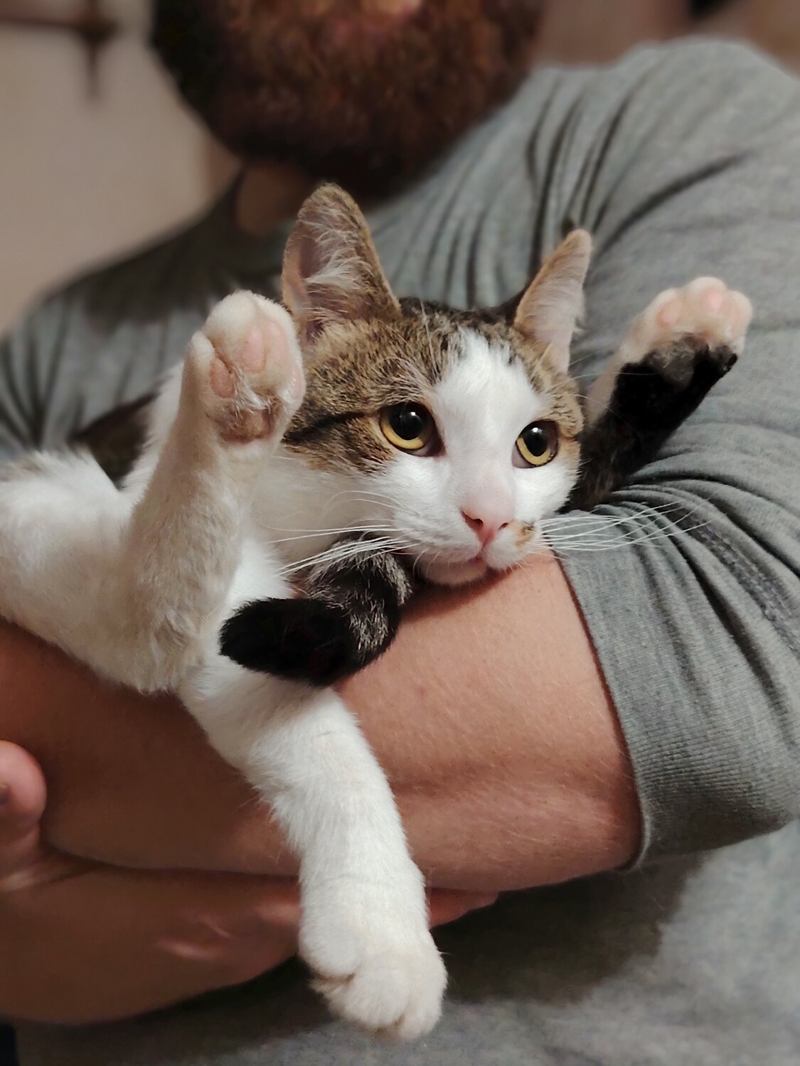 Photo #14036298