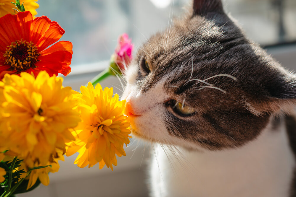 Photograph by Виталий Панченко