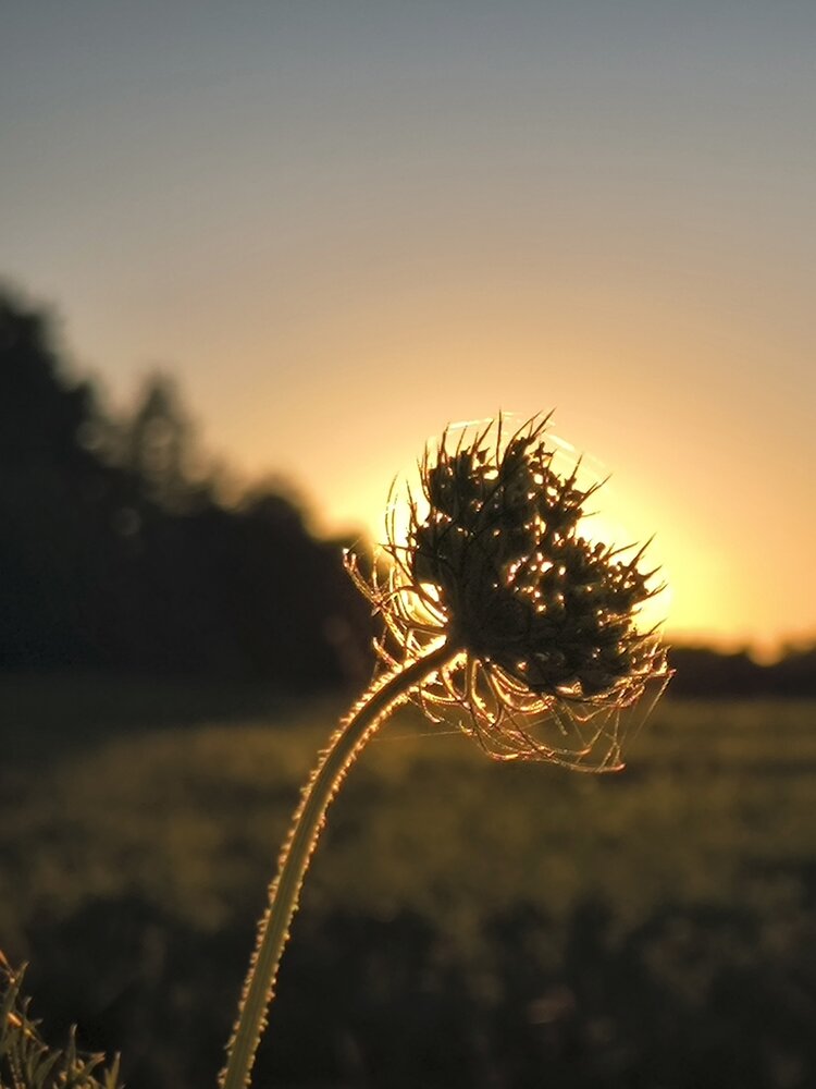 Photograph by Киселева Александра
