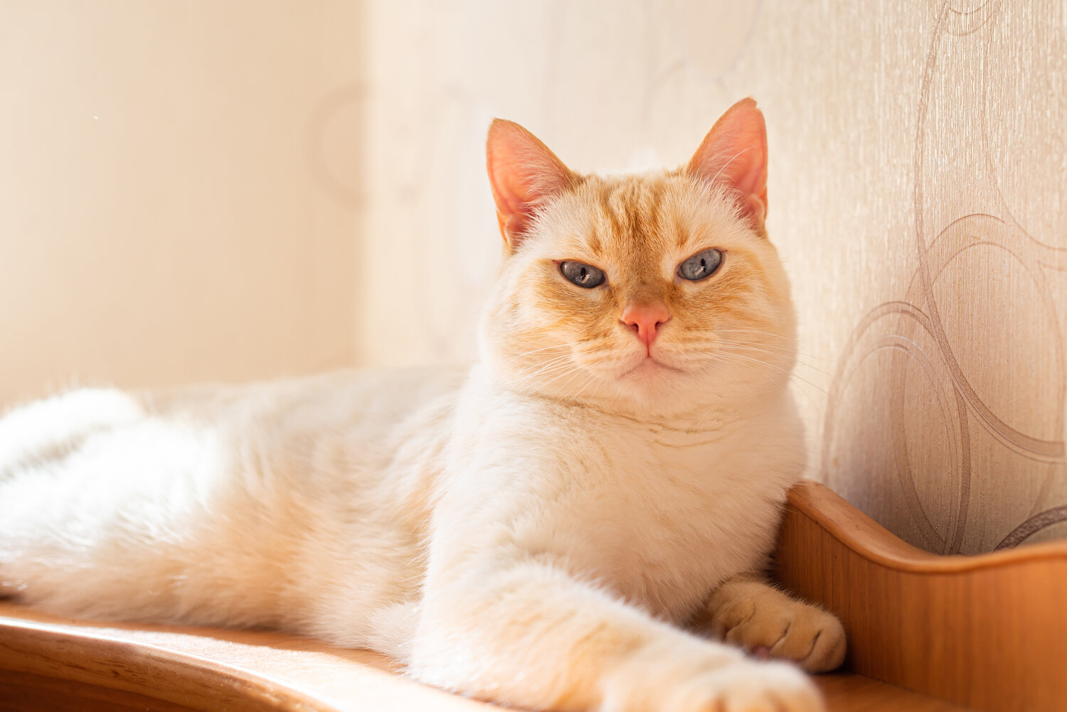 Photo #14036339