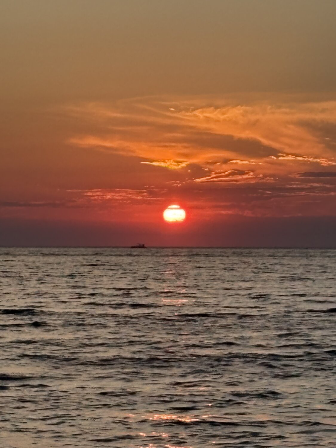 Photo #14036367