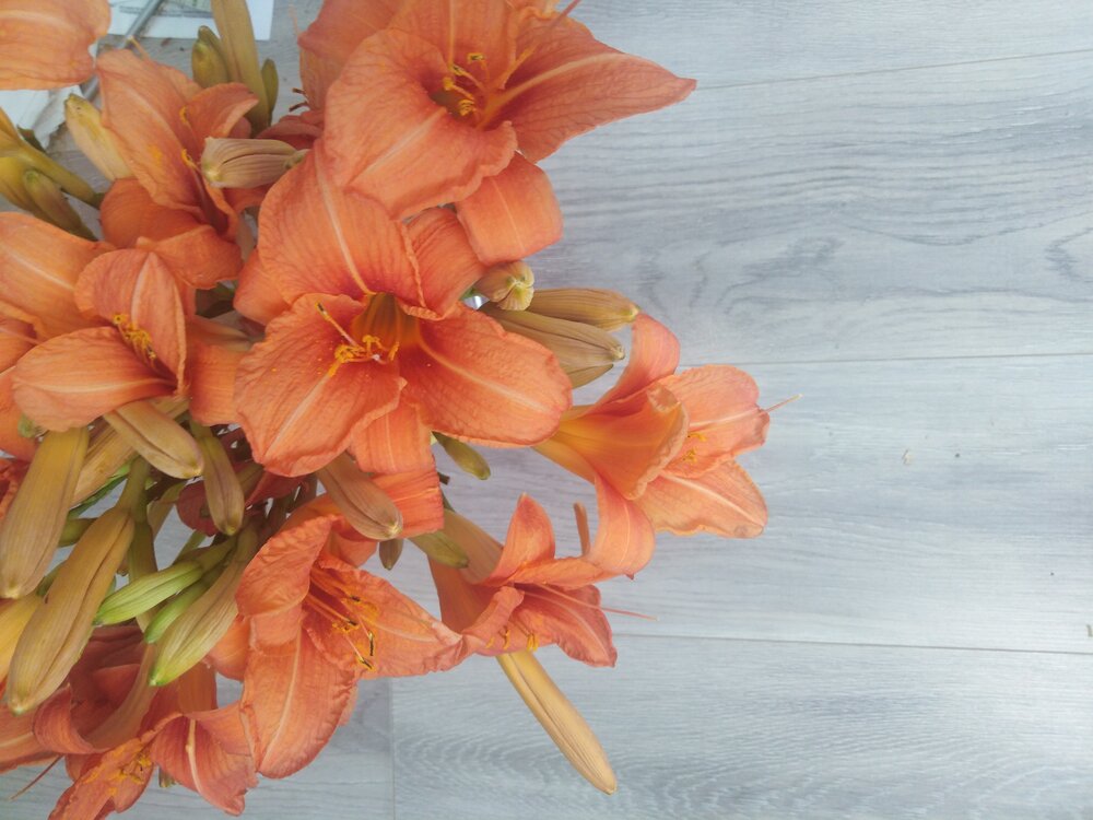 Photo #14036377