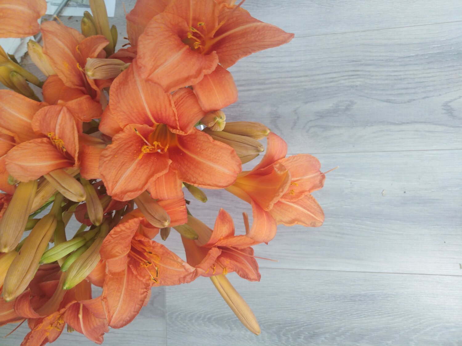 Photo #14036377