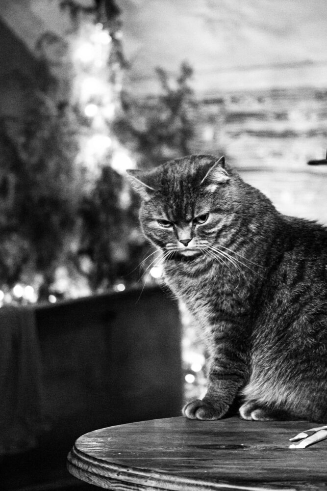 Photograph by Olya Slabada