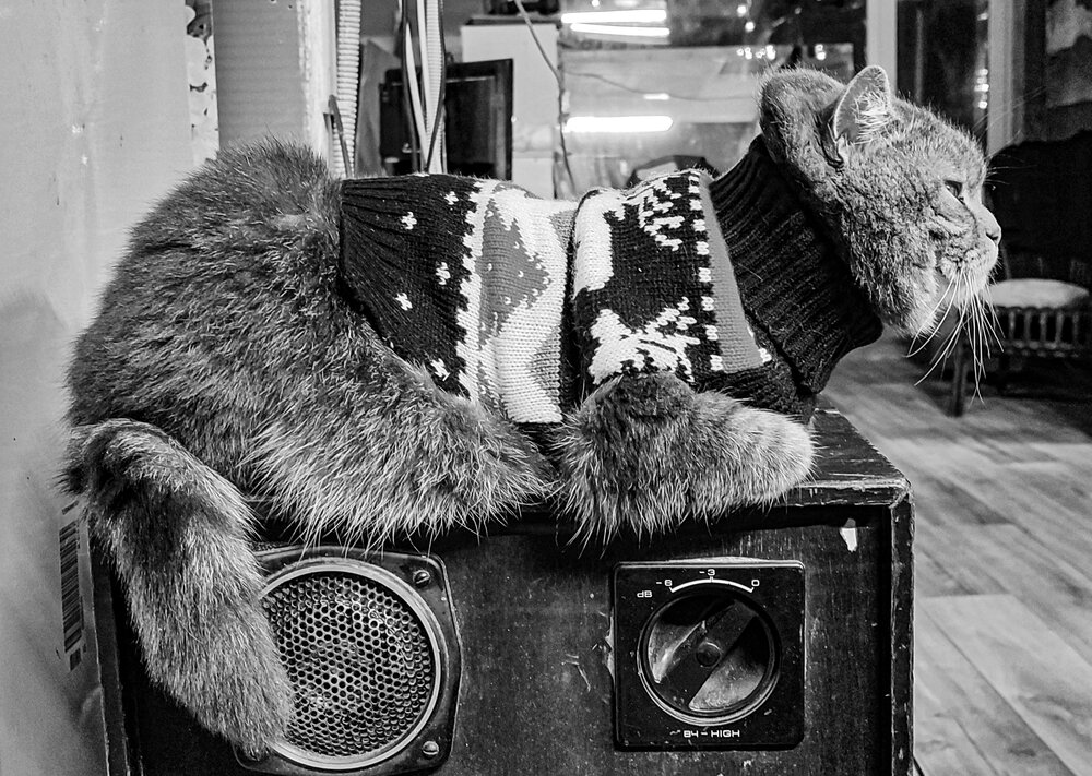 Photograph by Olya Slabada