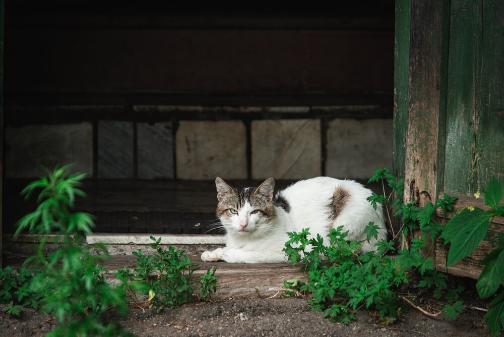 Photograph by Татьяна Жиркина