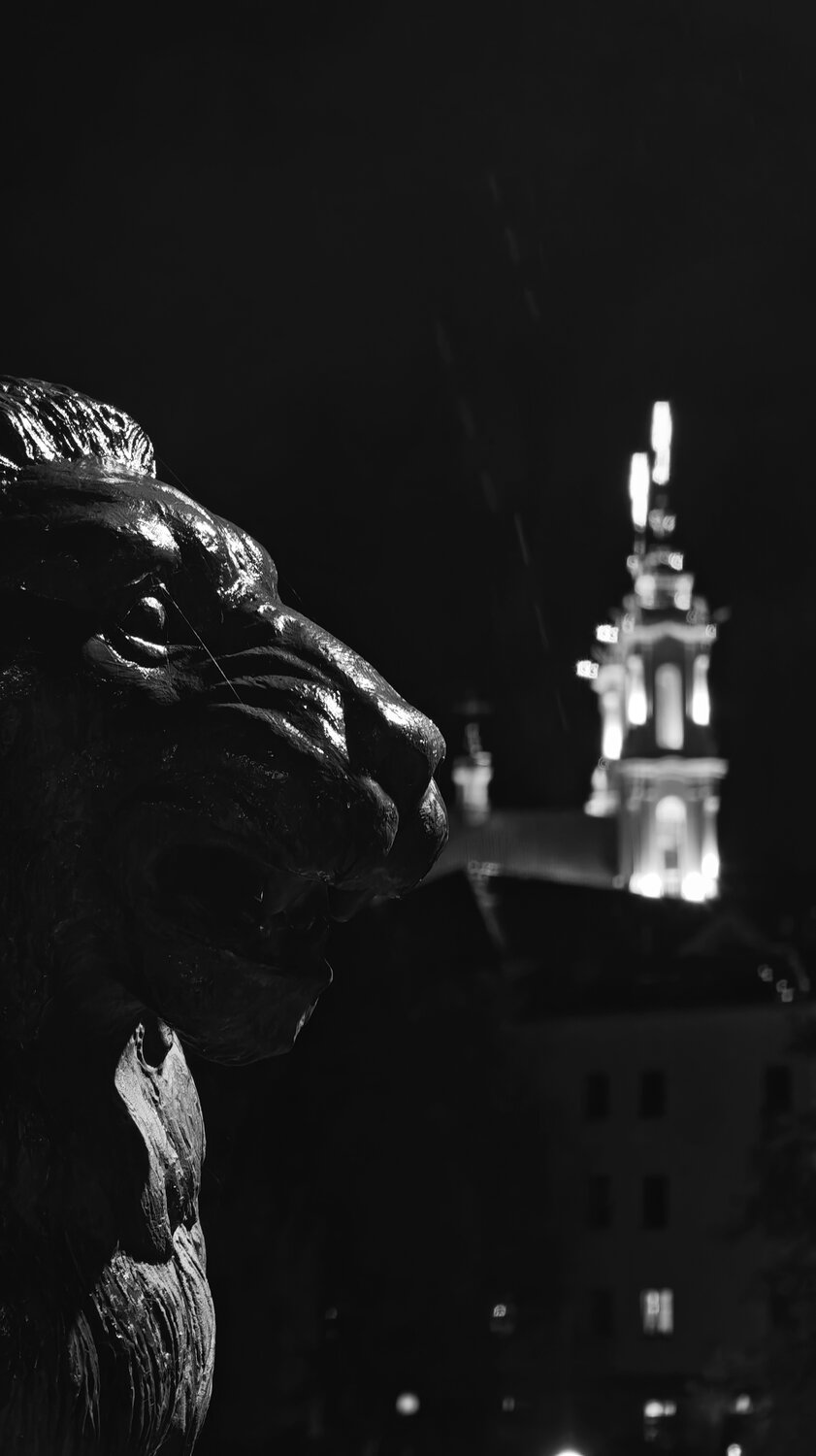 Photo #14036463