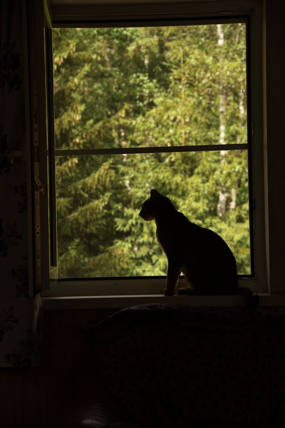 Photo #14036472