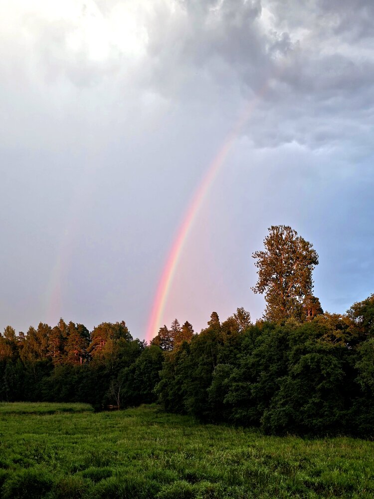 Photograph by Светлана Кустова