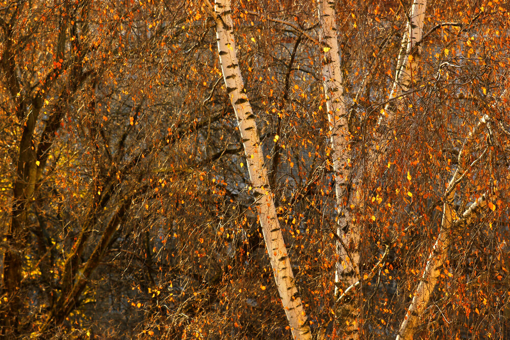 Photograph by Татьяна