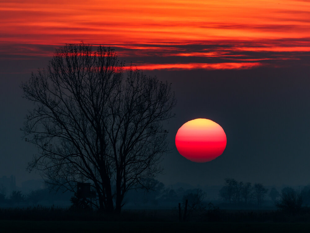 Photograph by Andrej Levius