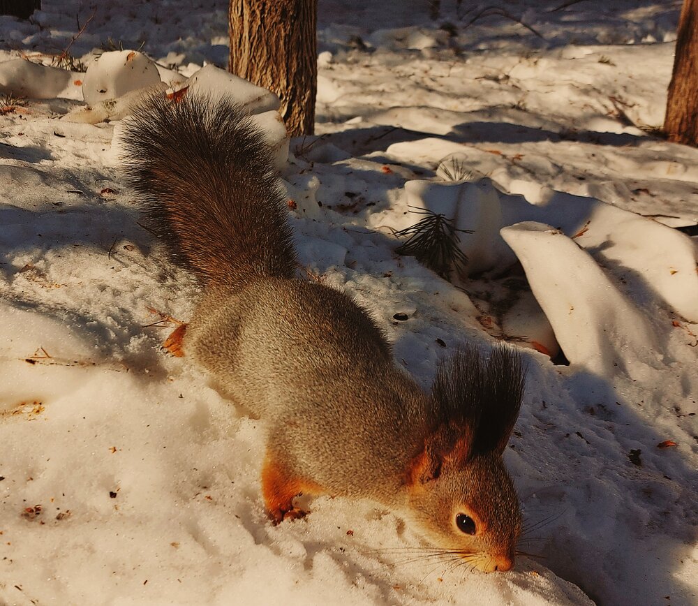 Photograph by Алена Марченко
