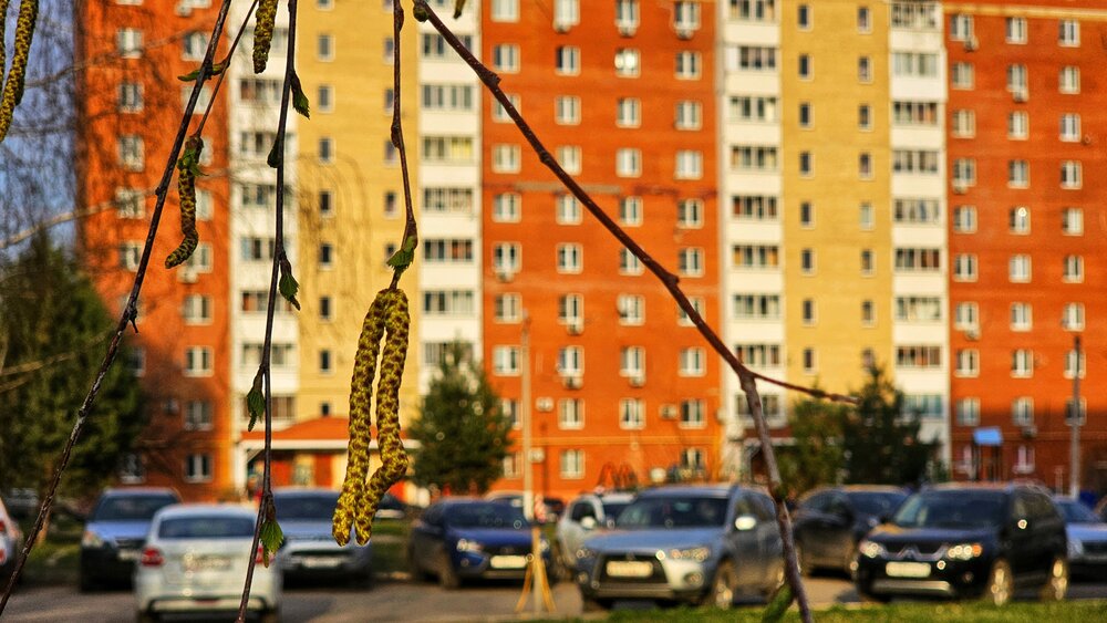Фотография автора Степан Макрушин