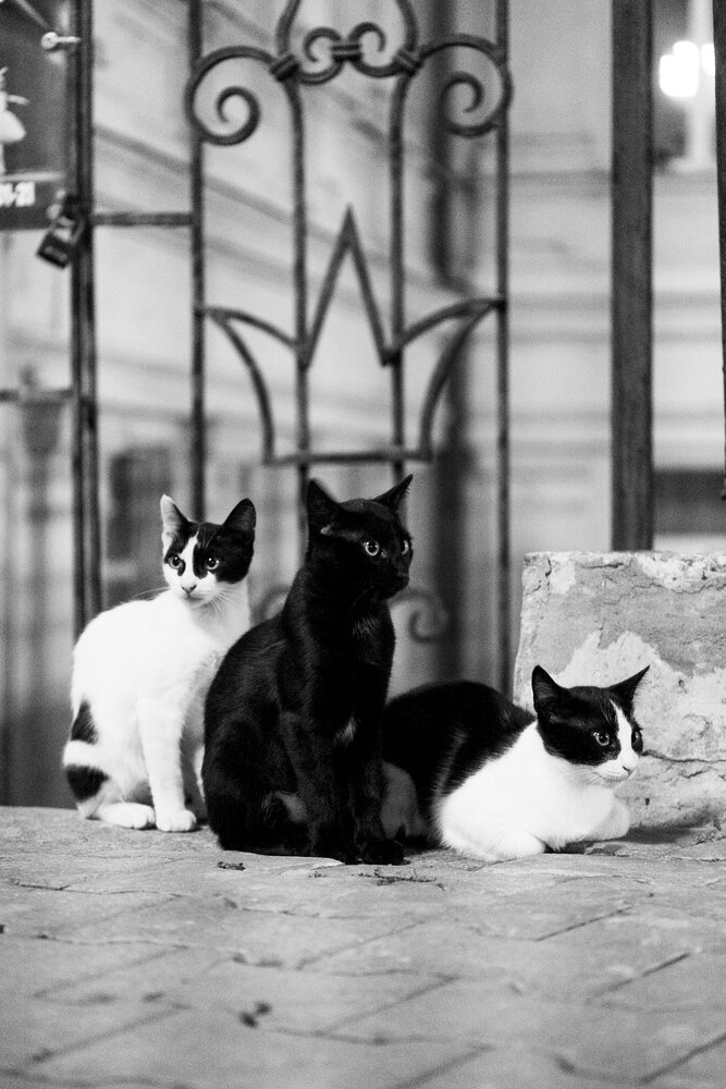 Photograph by Алексей Раимун