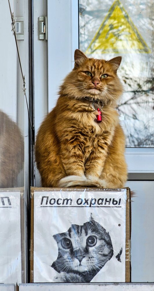 Фотография автора Степан Макрушин