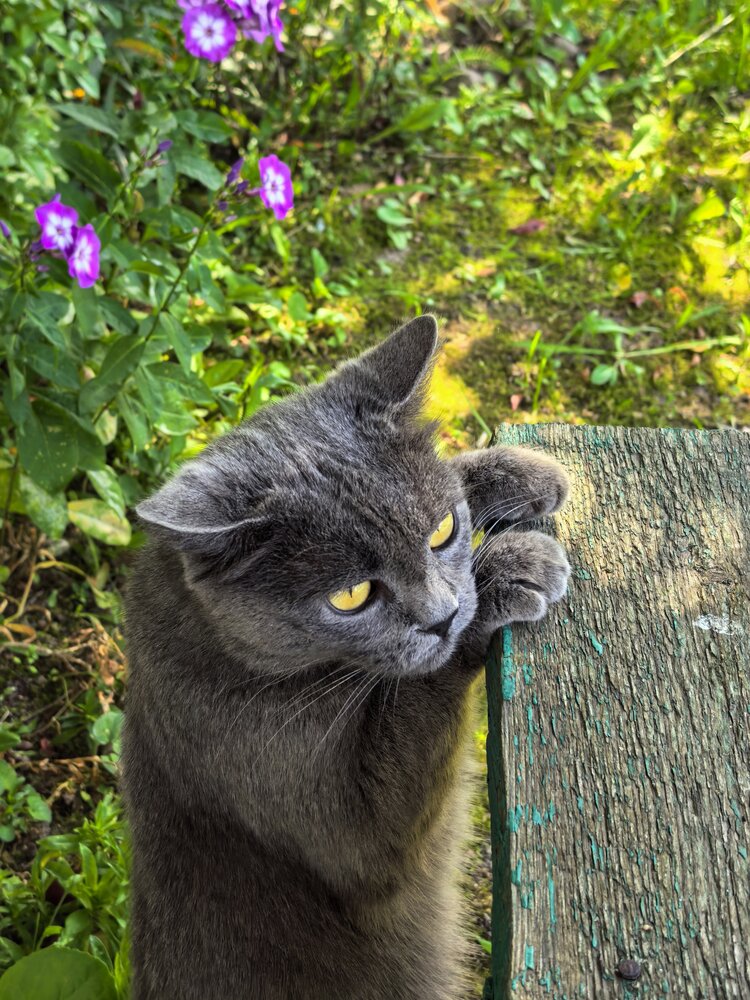 Photograph by Екатерина Борисовна Кузьмина