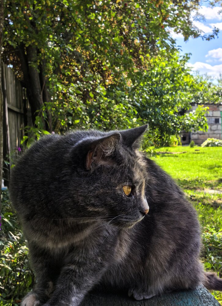 Photograph by Екатерина Борисовна Кузьмина