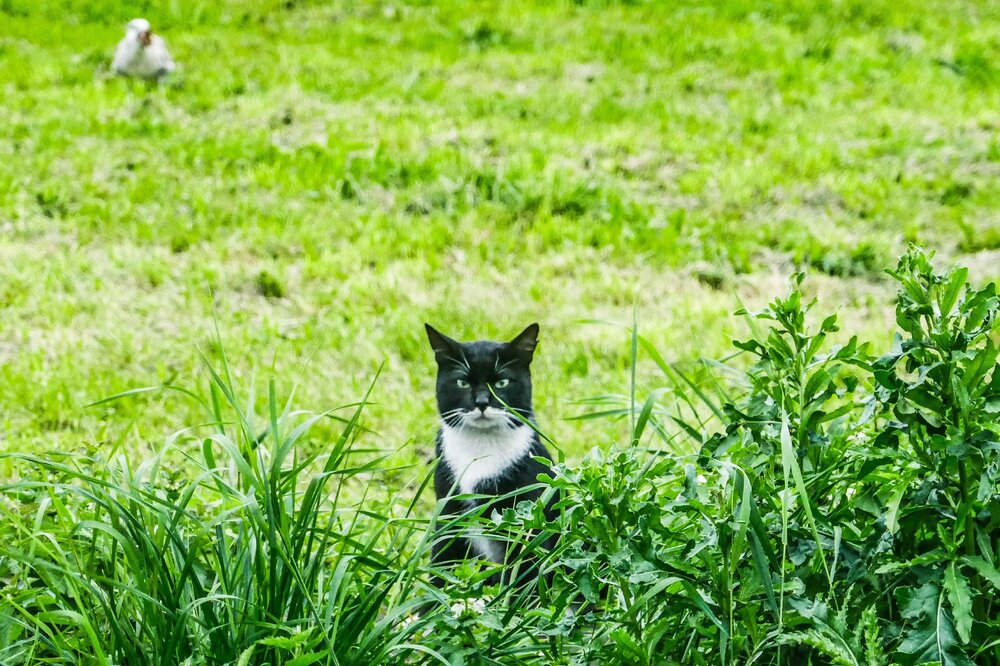 Photograph by Светлана Гордиенко
