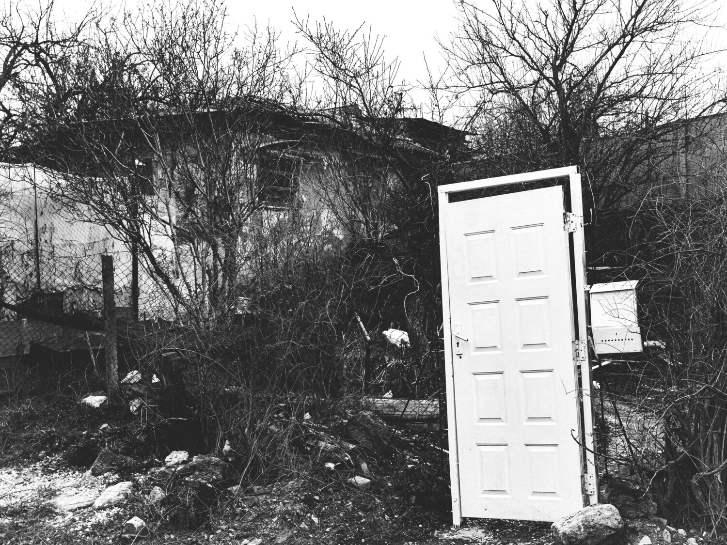 Photo #14036677