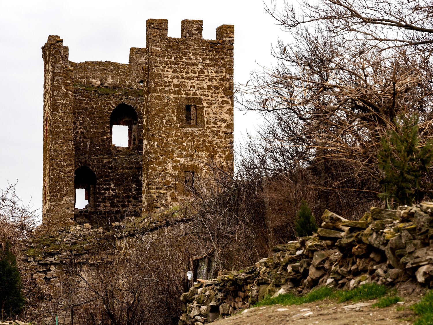 Photo #14036692