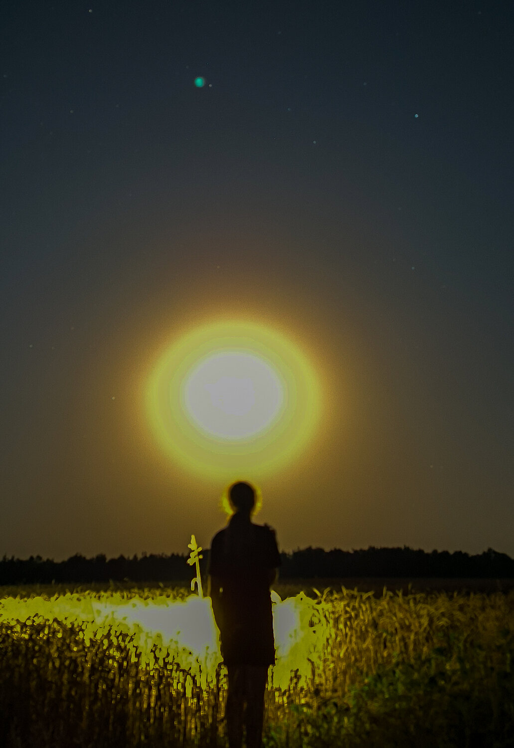 Photo #14036708