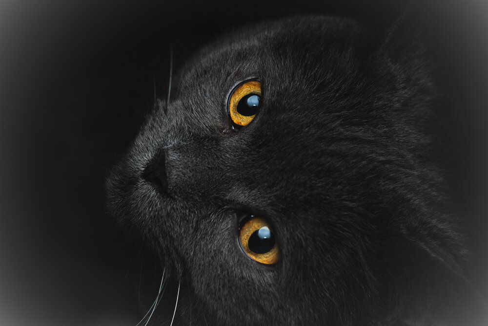 Photograph by John zhang