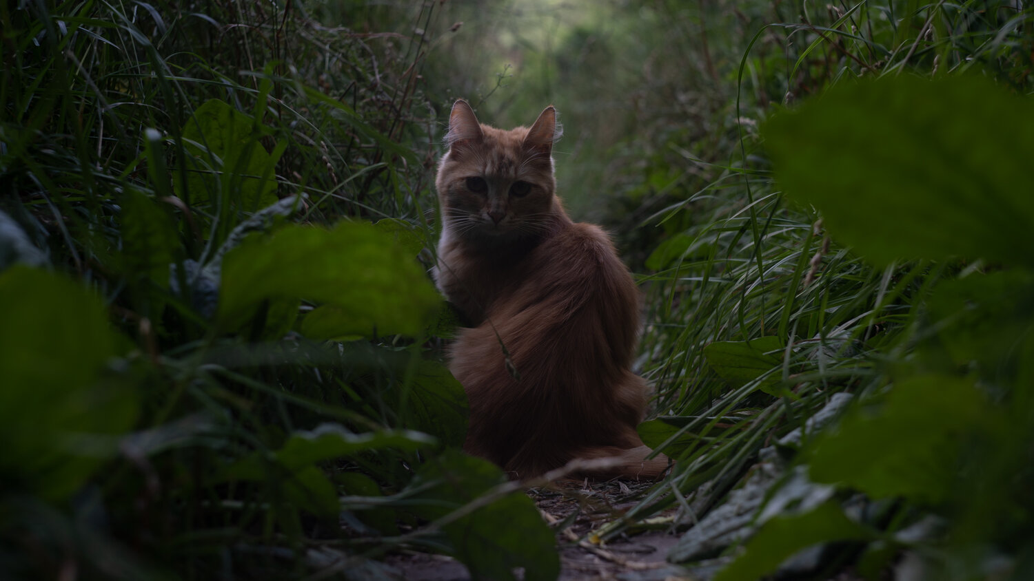 Photo #14036751
