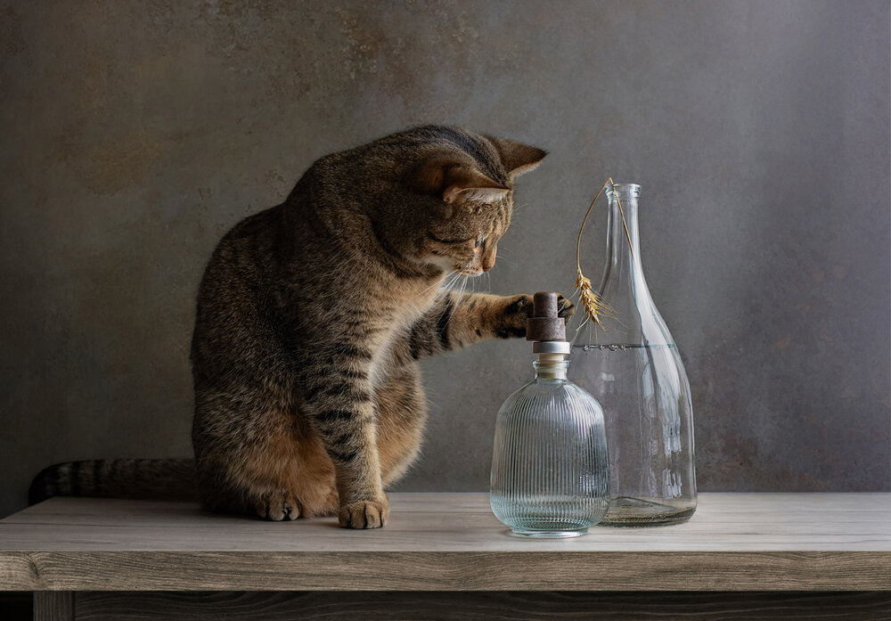 Photograph by Елена Мелихова