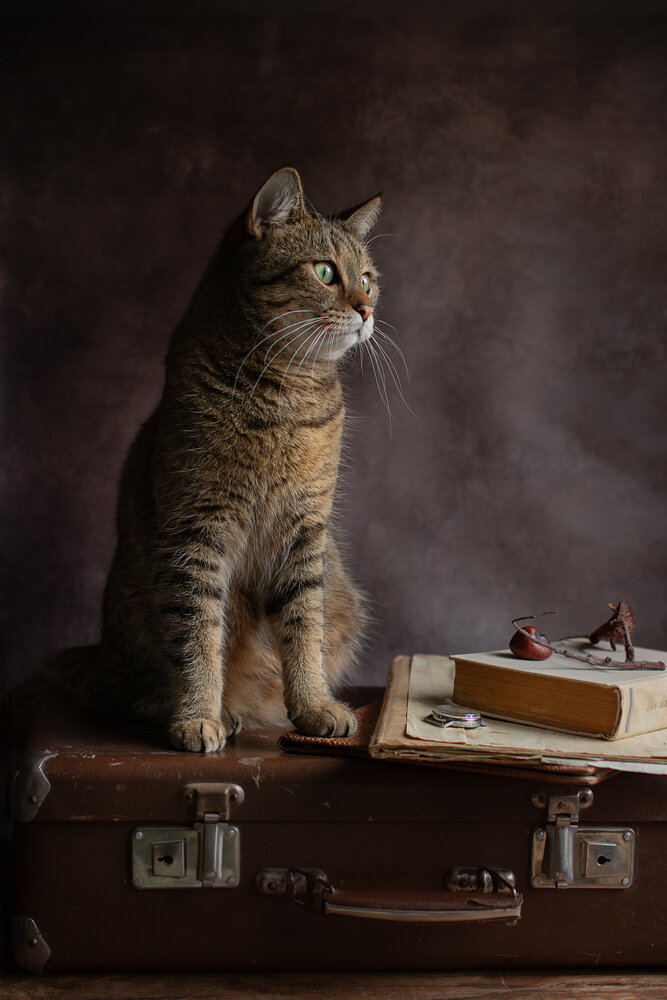 Photograph by Елена Мелихова