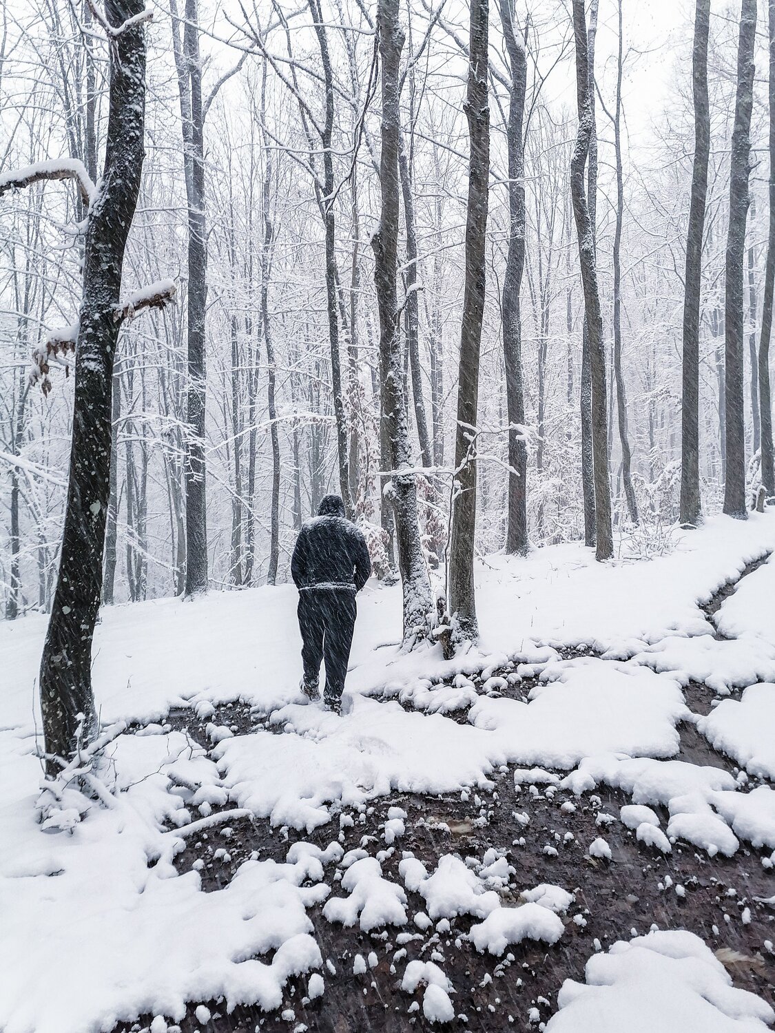 Winter Tales