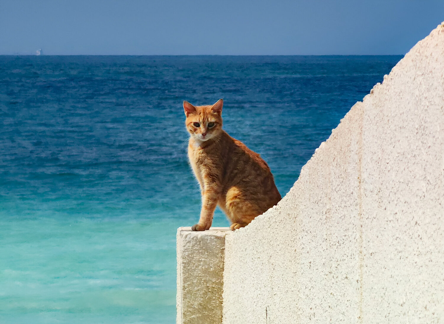 Guardian of the Marine Horizon