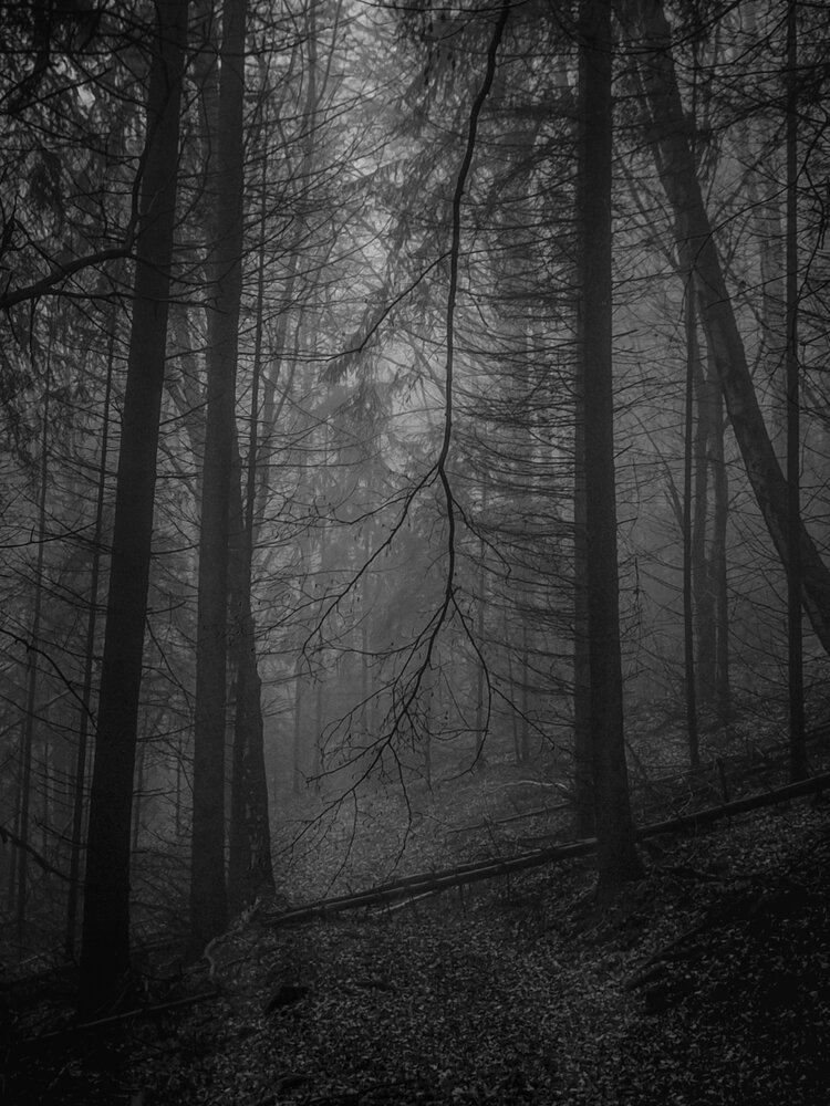 Photograph by Николов Андриян