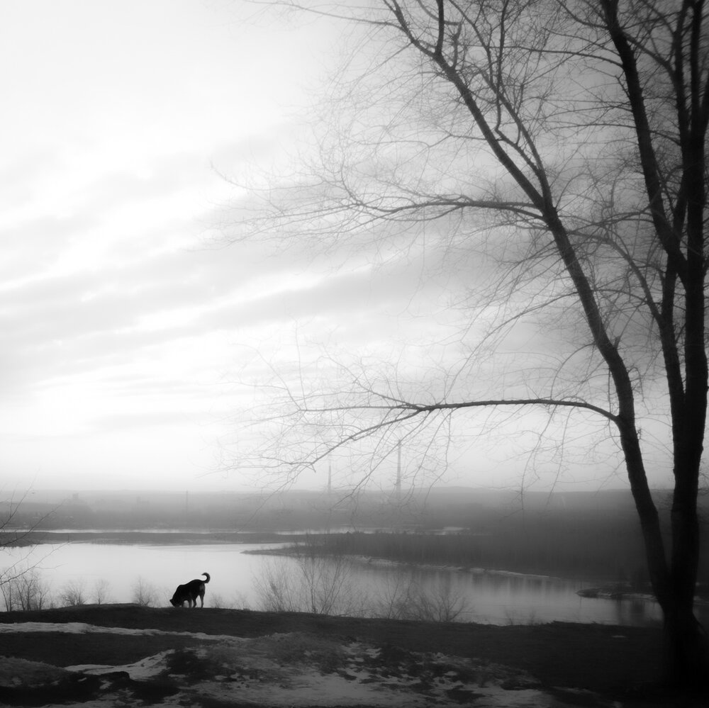 Photograph by Борис Руднев