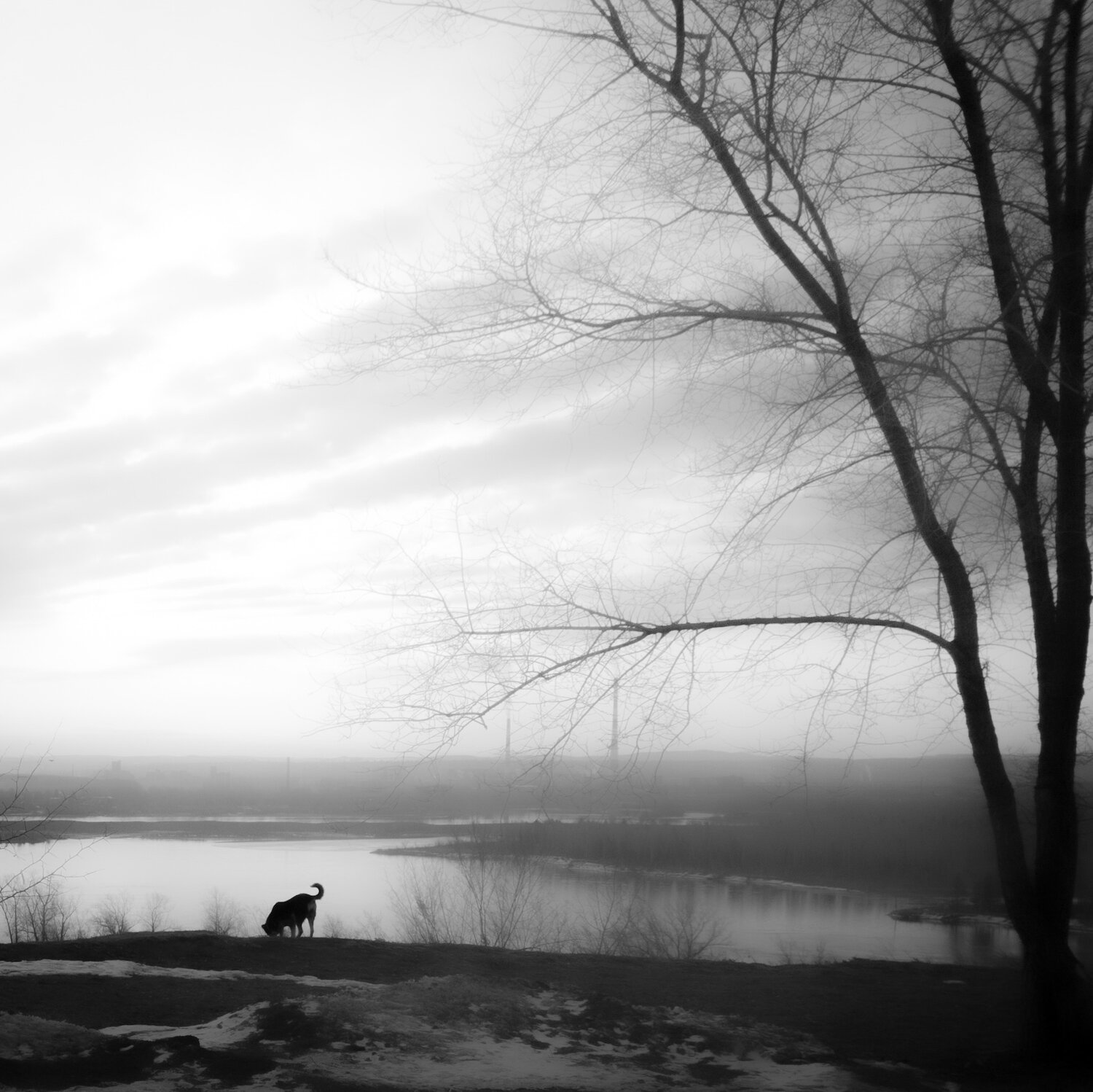 Photo #14036952