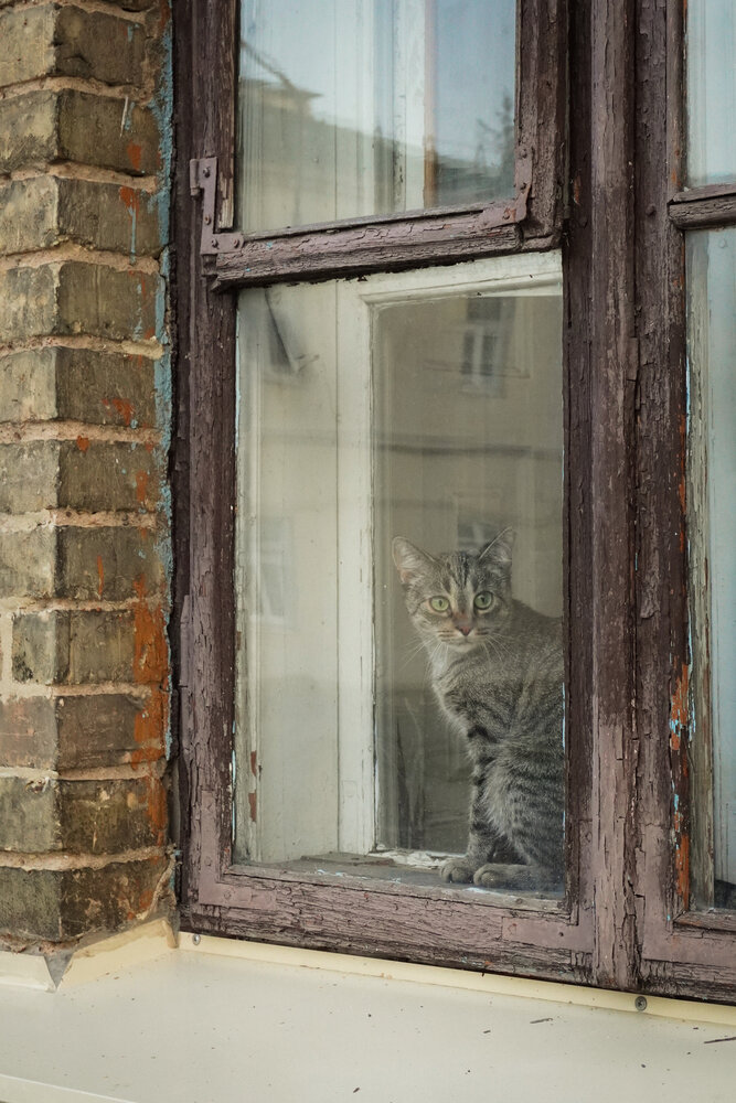 Photograph by Анастасия Мешкова
