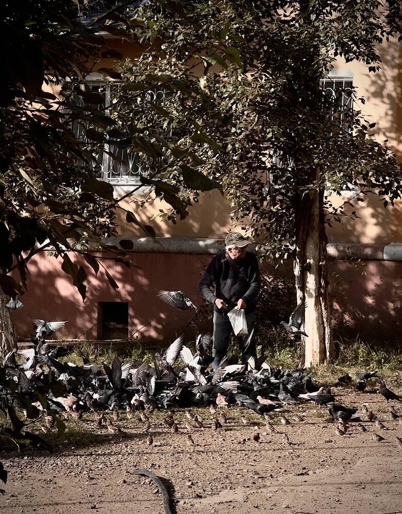 Photograph by Анастасия Самойленко
