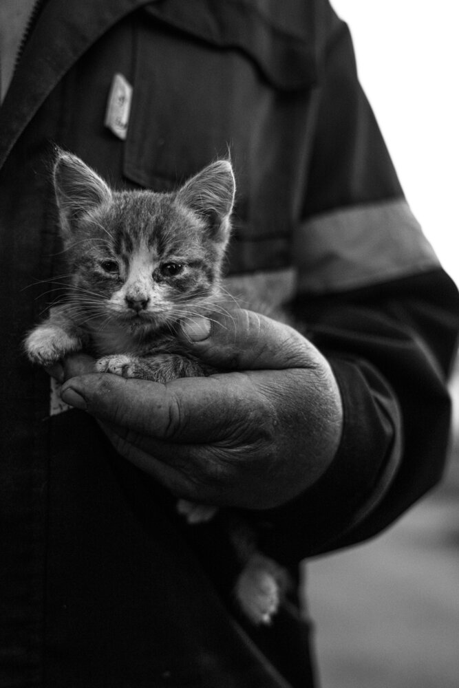 Photograph by Андрей Сурнин