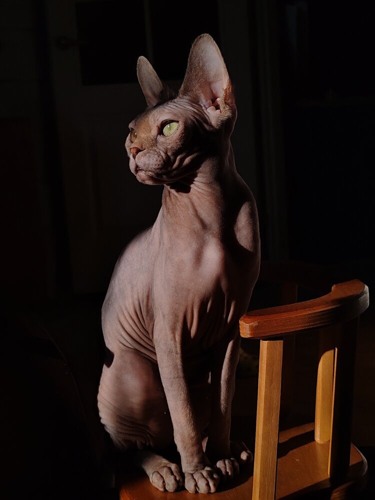 Photograph by Анна Роднянская-Наумович