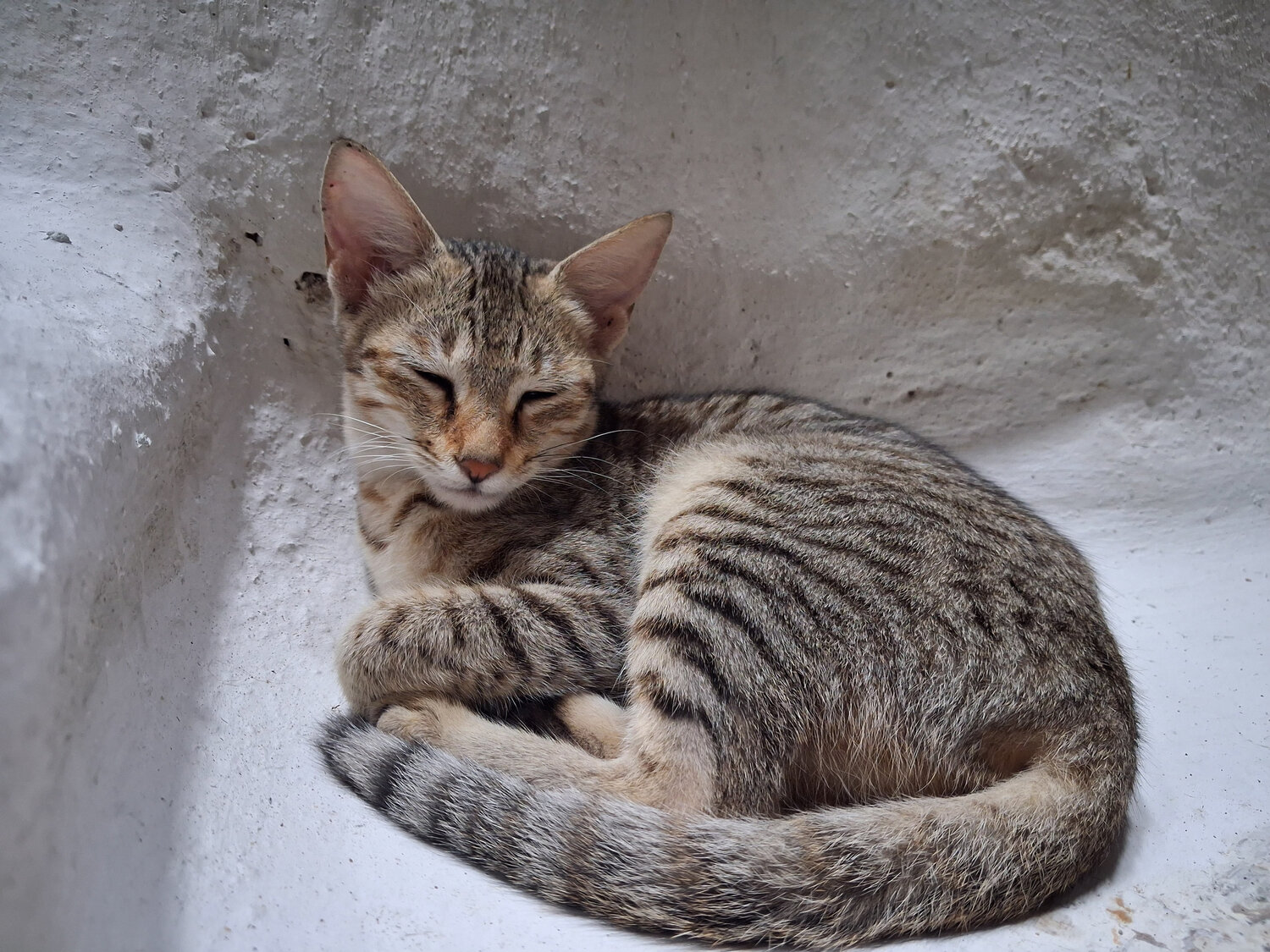 Photo #14037160
